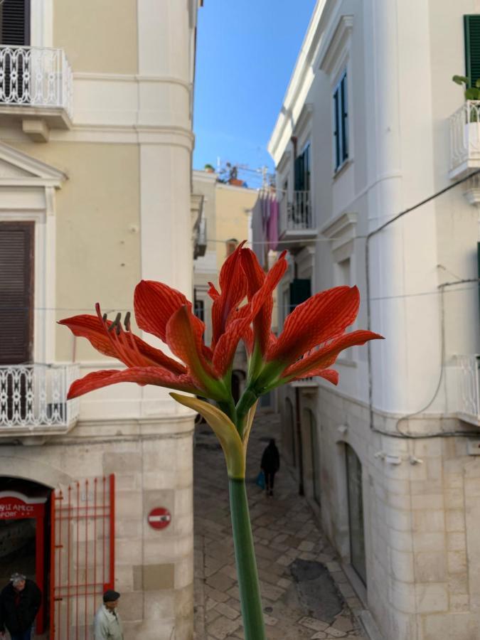 Le Marinelle Trani B&B Exterior photo